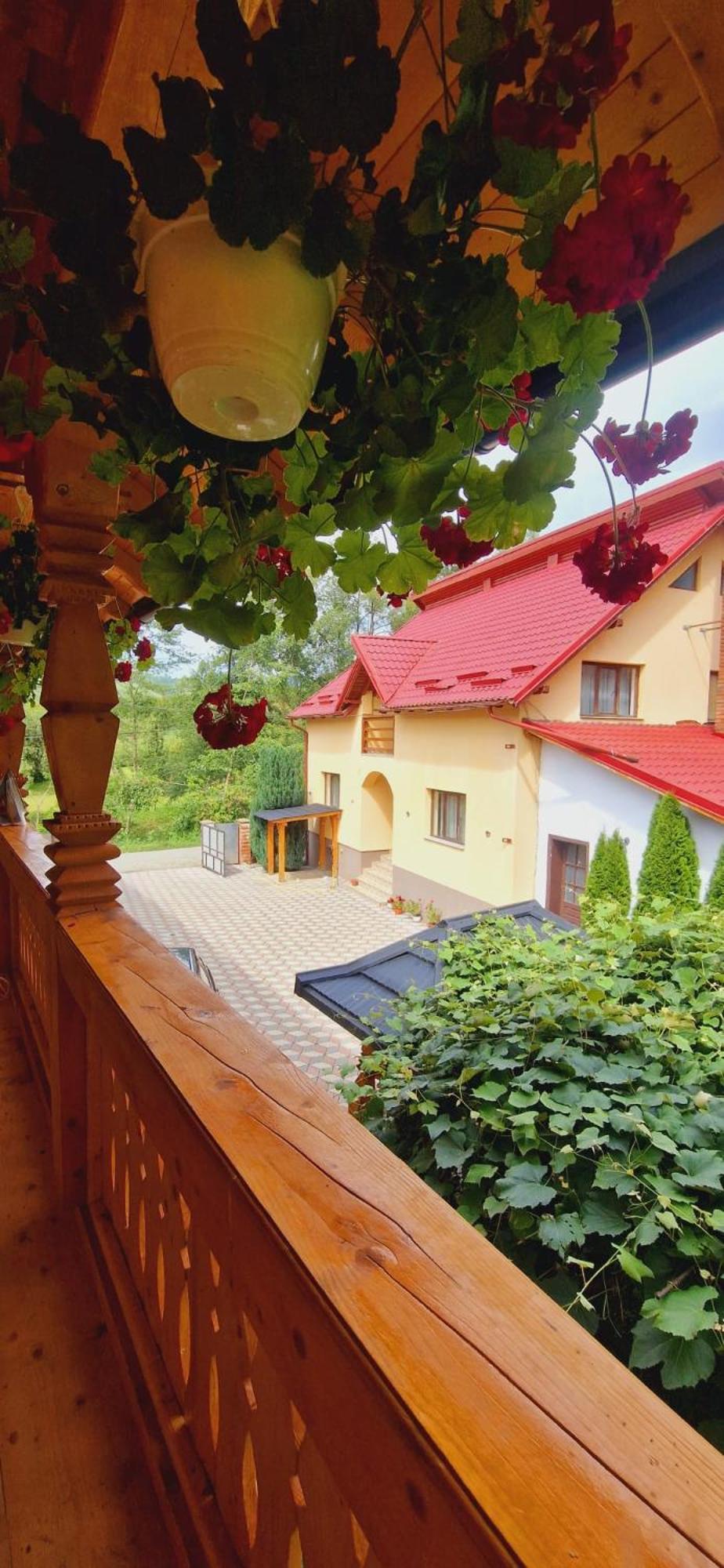 Pensiunea Malinul Bîrsana Rom bilde